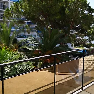 Skol 320c By Completely Marbella
